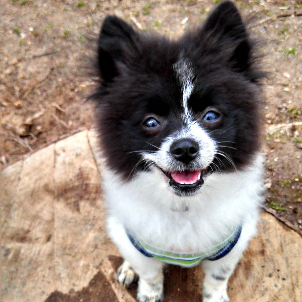 Meet your Posher, Bel